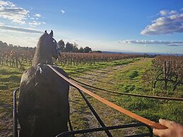 Madre De Água Hotel Rural De Charme