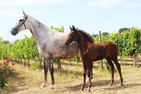 Madre De Água Hotel Rural De Charme