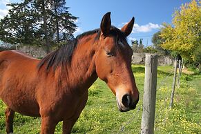 Monte da Serralheira, Agro-turismo