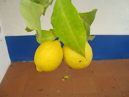 Monte da Serralheira, Agro-turismo