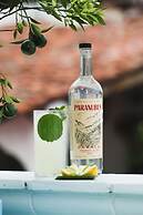 William Hotel Boutique De Diseño