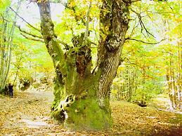 Hotel 4* Conventual Sierra de Gata