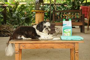 Pousada Portal do Cacau