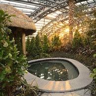 Sheraton Huzhou Taihu Lake Hot Spring Resort & Spa