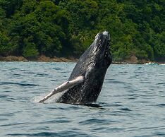 Copa De Arbol Beach & Rainforest Resort