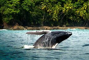 Copa De Arbol Beach & Rainforest Resort