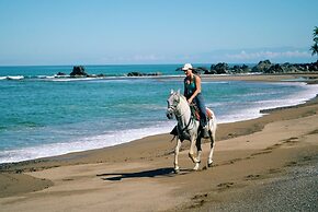 Copa De Arbol Beach & Rainforest Resort