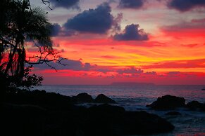 Copa De Arbol Beach & Rainforest Resort