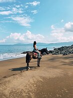 Copa De Arbol Beach & Rainforest Resort