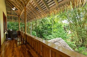 Copa De Arbol Beach & Rainforest Resort