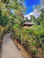 Copa De Arbol Beach & Rainforest Resort