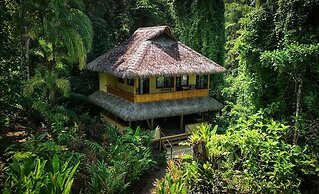 Copa De Arbol Beach & Rainforest Resort