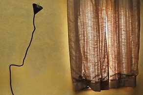 Le More e I Gelsomini