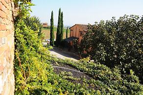 Le More e I Gelsomini