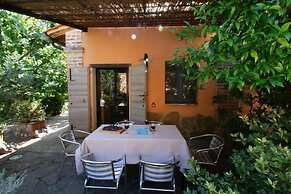 Le More e I Gelsomini