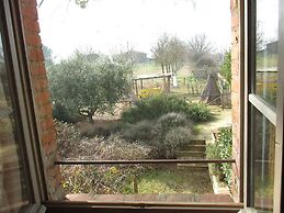 Le More e I Gelsomini