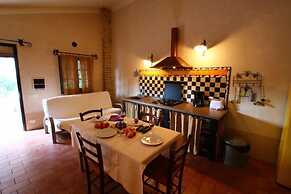 Le More e I Gelsomini