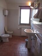 Le More e I Gelsomini