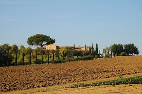 Le More e I Gelsomini