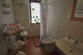 Le More e I Gelsomini