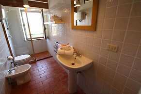 Le More e I Gelsomini