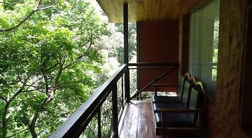 Hotel Forest Dreams Manakin