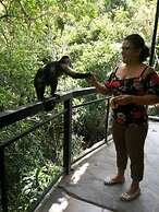 Hotel Forest Dreams Manakin