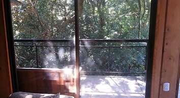 Hotel Forest Dreams Manakin