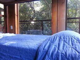 Hotel Forest Dreams Manakin