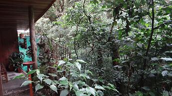 Hotel Forest Dreams Manakin