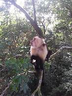 Hotel Forest Dreams Manakin