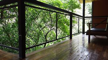 Hotel Forest Dreams Manakin