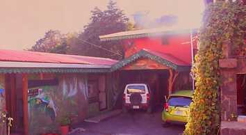 Hotel Forest Dreams Manakin