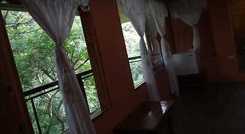 Hotel Forest Dreams Manakin