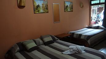 Hotel Forest Dreams Manakin