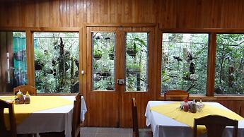 Hotel Forest Dreams Manakin