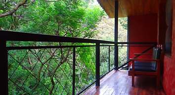 Hotel Forest Dreams Manakin