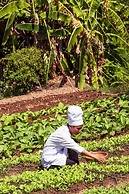 Mekong Riverside Boutique Resort & Spa