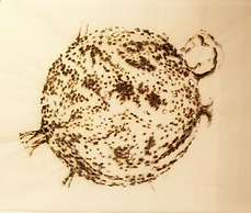 Culture Hotel Centro Storico