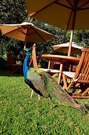 Aberdare Country Club