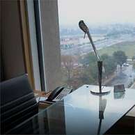 Holiday Inn Amritsar Ranjit Avenue by IHG