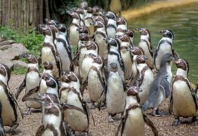 Holiday Inn Express Birmingham - Snow Hill by IHG