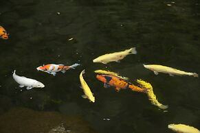 Hakone Yumoto Onsen Tenseien