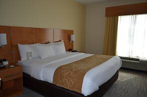 Comfort Suites Bossier City - Shreveport