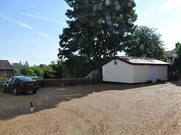 The Liver View