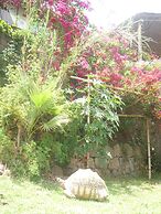 Babogaya Lake Viewpoint Lodge