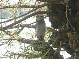 Babogaya Lake Viewpoint Lodge