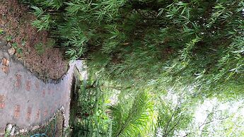 Hotel Khao Sok & Spa