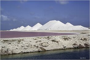 The Lodge Bonaire