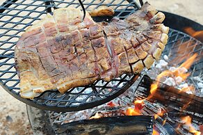 Sossus Oasis Camp Site